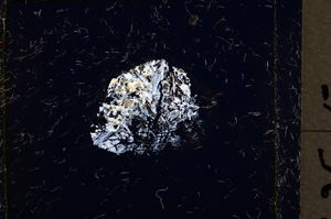 Cross Polarized, E22160