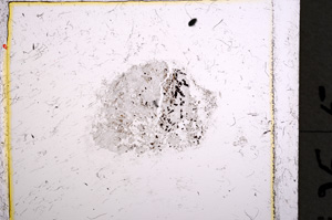 Plane Polarized, E22160