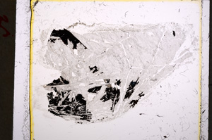 Plane Polarized, E22161