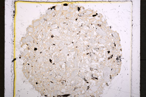 Plane Polarized, E22162