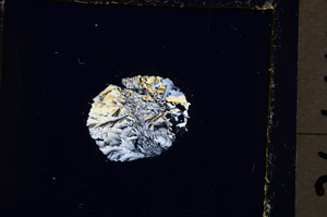 Cross Polarized, E22163