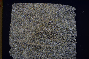 Cross Polarized, E22164