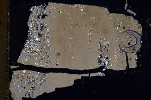Cross Polarized, E22169