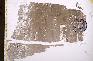 Plane Polarized, E22169