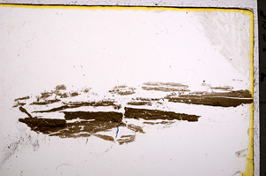 Plane Polarized, E22170