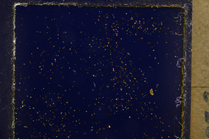 Cross Polarized, E22181