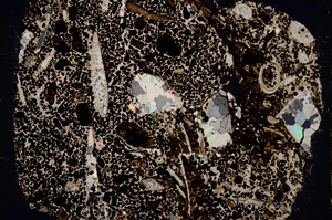 Cross Polarized, E22190