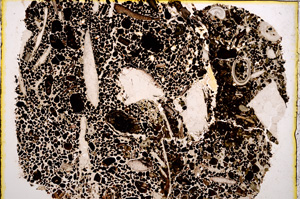 Plane Polarized, E22190