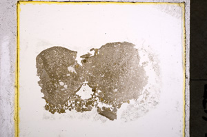 Plane Polarized, E22197