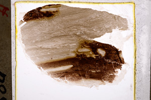Plane Polarized, E22218