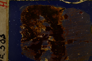 Cross Polarized, E22219