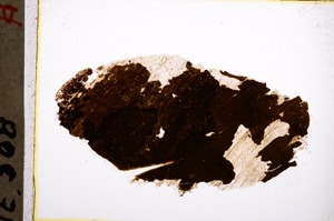 Plane Polarized, E22222