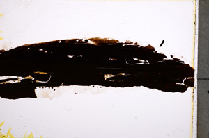 Plane Polarized, E22231