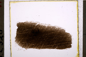 Plane Polarized, E22234