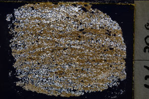 Cross Polarized, E22237