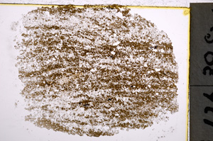 Plane Polarized, E22237