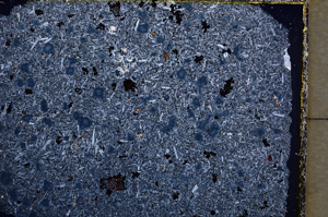 Cross Polarized, E22243