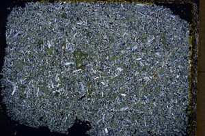 Cross Polarized, E22244