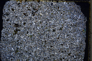 Cross Polarized, E22246