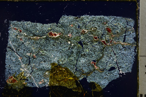 Cross Polarized, E22257