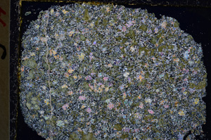 Cross Polarized, E22269