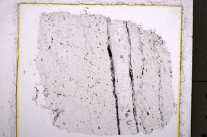 Plane Polarized, E22271