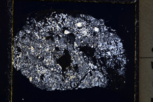 Cross Polarized, E22272