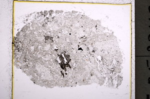 Plane Polarized, E22272