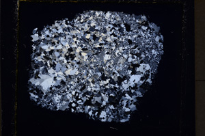 Cross Polarized, E22273