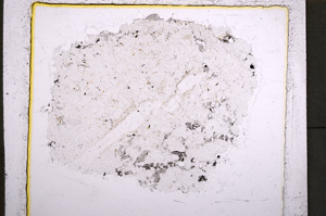 Plane Polarized, E22273