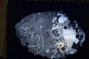 Cross Polarized, E22274