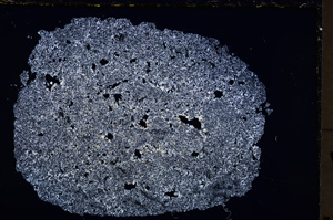 Cross Polarized, E22275