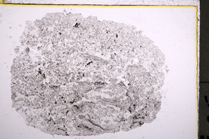 Plane Polarized, E22275