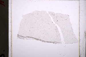 Plane Polarized, E22276