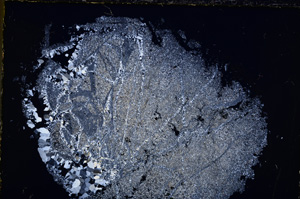 Cross Polarized, E22277