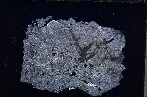 Cross Polarized, E22278