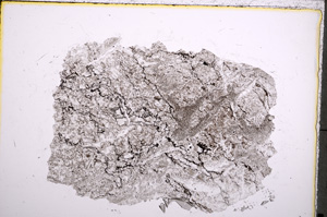 Plane Polarized, E22278