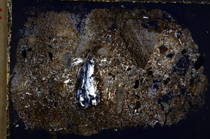 Cross Polarized, E22280