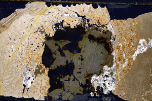 Cross Polarized, E22285