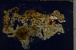 Cross Polarized, E22286