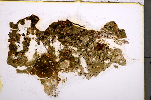 Plane Polarized, E22286