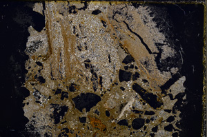 Cross Polarized, E22287