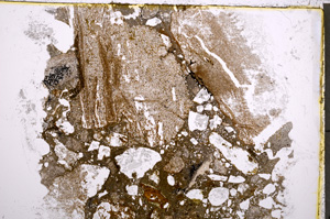 Plane Polarized, E22287