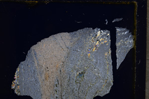 Cross Polarized, E22293