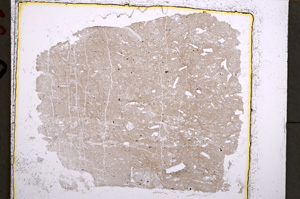 Plane Polarized, E22296
