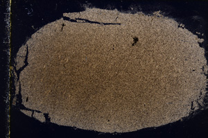 Cross Polarized, E22312