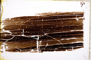 Plane Polarized, E22313