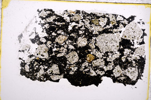 Plane Polarized, E22314