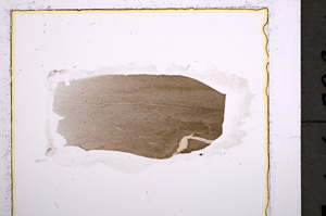 Plane Polarized, E22315