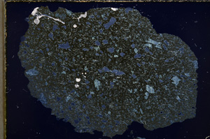 Cross Polarized, E22316